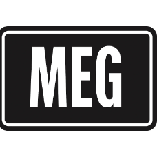 Mega Evolutions