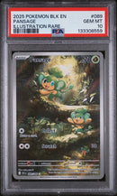 PSA 10 - Black Bolt - Pansage
