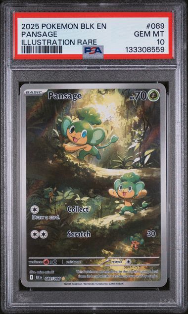 PSA 10 - Black Bolt - Pansage