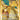 Dragonite EX (Full Art) - (106/108) - XY - Evolutions - (Ultra Rare)