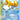 Floatzel - (037/106) - Countdown Calendar Promos - (Promo)