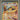 PSA 10  - Terastal Festival - Jolteon EX #209