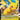 Pikachu V - (SWSH061) - SWSH: Sword & Shield Promo Cards - (Promo)