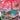 Venusaur VMAX - (SWSH102) - SWSH: Sword & Shield Promo Cards - (Promo)