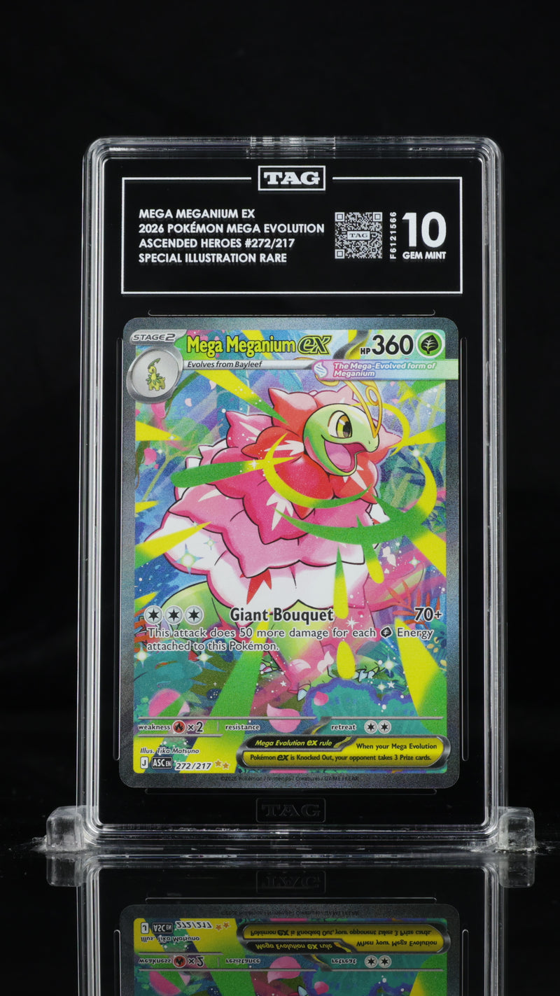 TAG 10 - Ascended Heroes  - Mega Meganium EX