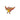 Collector's Pin 3-Pack Blister (Moltres)