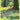 Hisuian Voltorb - (GG01/GG70) - SWSH: Crown Zenith: Galarian Gallery - (Ultra Rare)