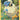 Mareep - (GG34/GG70) - SWSH: Crown Zenith: Galarian Gallery - (Ultra Rare)