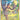 Grant - (GG62/GG70) - SWSH: Crown Zenith: Galarian Gallery - (Ultra Rare)