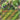 Spidops ex - (019/198) - SV01: Scarlet & Violet Base Set - (Double Rare)
