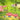 Southern Islands [Japanese] - Tropical Island (Jungle)