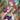 Miriam - (238/198) - SV01: Scarlet & Violet Base Set - (Ultra Rare)