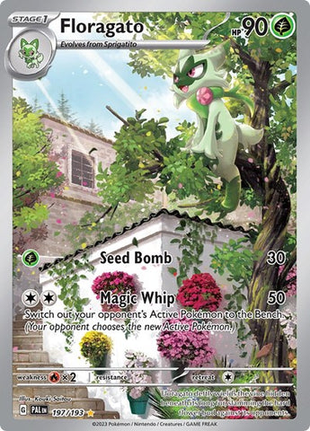 Floragato - (197/193) - SV02: Paldea Evolved - (Illustration Rare)
