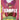 Baron Tamago - (ST07-012) - ST-07: Starter Deck 7 Big Mom Pirates - (Common)