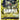 Kingbaum - (OP03-100) - Pillars of Strength Pre-Release Cards - (Common)