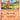 Charmander - (004/165) - SV: Scarlet & Violet 151 - (Common)