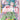 Kouzuki Hiyori - (OP06-106) - Wings of the Captain - (Super Rare)