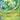 Sprigatito ex (087) [Scarlet & Violet: Black Star Promos]