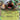 Torterra ex - (012/162) - SV05: Temporal Forces - (Double Rare)