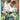 Fourtricks - (EB01-025) - Extra Booster: Memorial Collection - (Common)