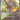 Bloodmoon Ursaluna ex - (216/167) - SV06: Twilight Masquerade - (Special Illustration Rare)