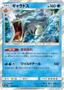 Gyarados (016/053) - SM6a Dragon Storm Holofoil