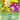 Koffing - Rocket Gang (Common)