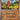 Charmander (Reverse Cosmos Holo) (Costco Exclusive) - (004/165) - Miscellaneous Cards & Products - (Promo)