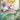 Milotic ex - (237/191) - SV08: Surging Sparks - (Special Illustration Rare)