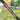 Decidueye ex (015/197) (Jumbo Card) [Miscellaneous Cards]
