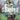 Usopp (Parallel) - (ST21-002) - Starter Deck EX: Gear 5 - (Common)