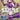 Jewelry Bonney (Parallel) - (ST21-004) - Starter Deck EX: Gear 5 - (Common)