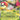 Amoonguss ex - (011/159) - SV09: Journey Together - (Double Rare)