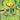 Electivire ex - (212/182) - SV10: Destined Rivals - (Ultra Rare)