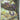 Liepard - (137/086) - SV: White Flare - (Illustration Rare)