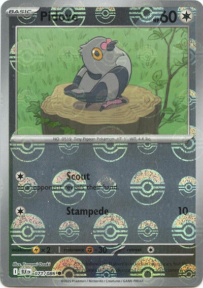 Pidove (Poke Ball Pattern) - (071/086) - SV: Black Bolt - (Common)