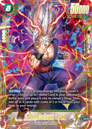 Son Gohan : SH (FB07-121) (Alternate Art) [Wish For Shenron]