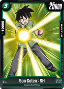Son Goten : SH [Wish For Shenron]