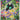 Shroodle - (149/132) - ME01: Mega Evolution - (Illustration Rare)