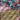 Salamence ex (Journey Together Stamped) - (114/159) - Miscellaneous Cards & Products - (Double Rare)