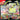 Mega Evolution: Perfect Order - 3 Pack Blister (Chikorita)