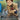 A Healthy Curiosity (GD03-101) - Steel Requiem (R)