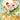 Scorbunny - (225/217) - ME: Ascended Heroes - (Illustration Rare)