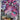 Drapion - (097/088) - ME03: Perfect Order - (Illustration Rare)