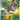 Tyrunt - (070) - ME: Mega Evolution Promo - (Promo)