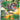 Tyrunt (Pokemon Center Exclusive) - (070) - ME: Mega Evolution Promo - (Promo)