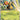 Beedrill ex - (003/086) - ME04: Chaos Rising - (Double Rare)