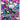 Roxie's Performance - (121/086) - ME04: Chaos Rising - (Special Illustration Rare)