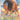 Tauros - (096/086) - ME04: Chaos Rising - (Illustration Rare)