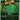 Oggo (EB01-031) - Eternal Nexus (C)